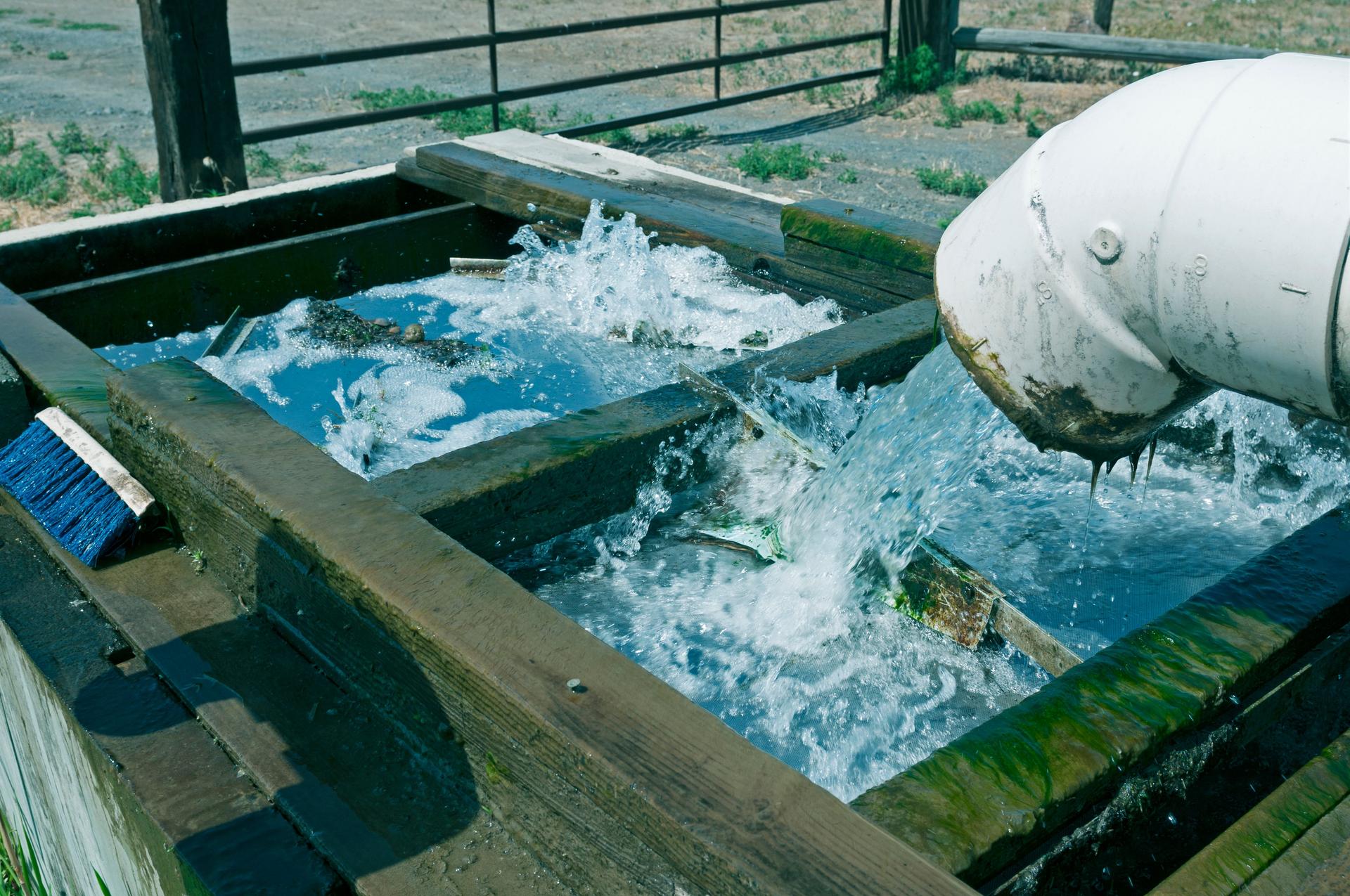 Eau verser à pipe en agriculture et du canal